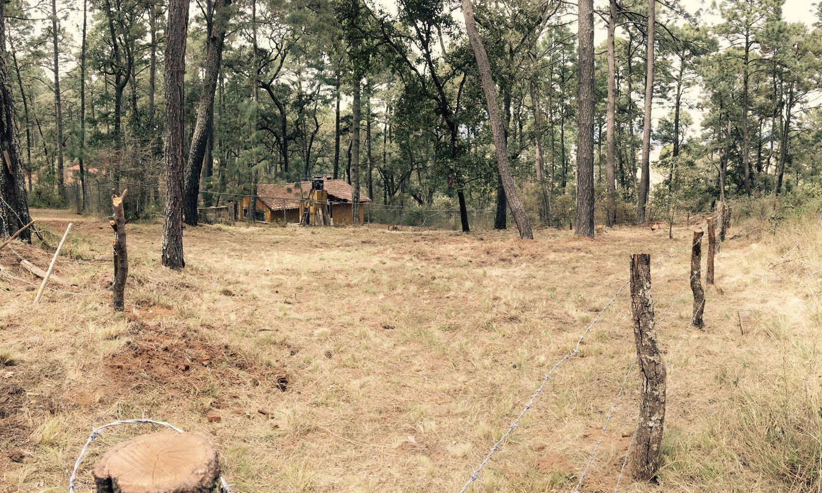 Terreno rancho amigos de Tapalapa